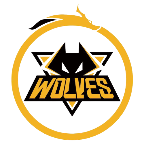 了球队关键 了球队关键