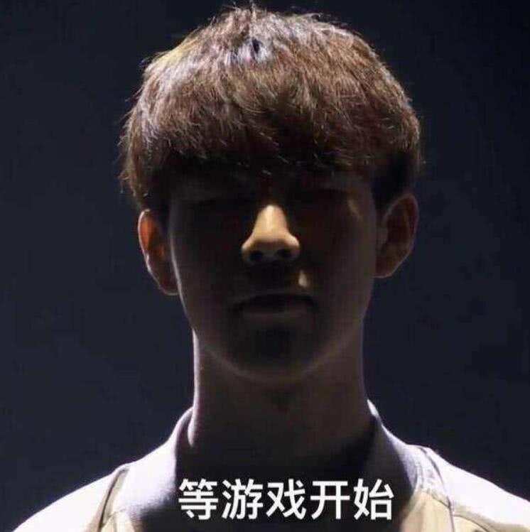 宠物系统 宠物系统